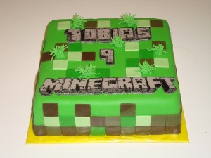 dort minecraft